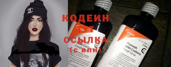 хмурый Белокуриха