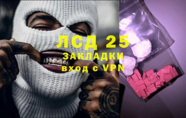 хмурый Белокуриха