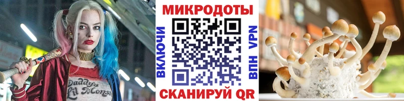 Псилоцибиновые грибы Psilocybine cubensis  mega ТОР  Усолье 